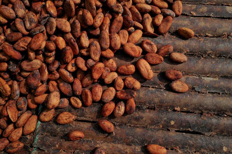 IERPP questions GH¢2,500 Cocoa price despite reported US$3.86bn export earnings, GH¢5.11bn COCOBOD revenue