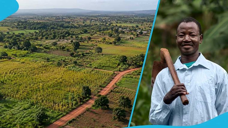7 places in Ghana where farmland may still cost less than GH¢8,000 per acre